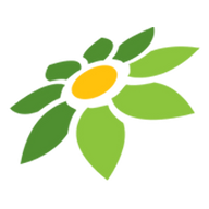 INSTAGRAM PIXEL